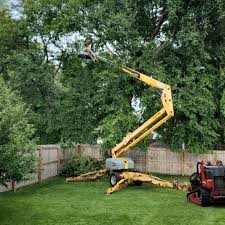 Best Lawn Watering Services  in Saranap, CA